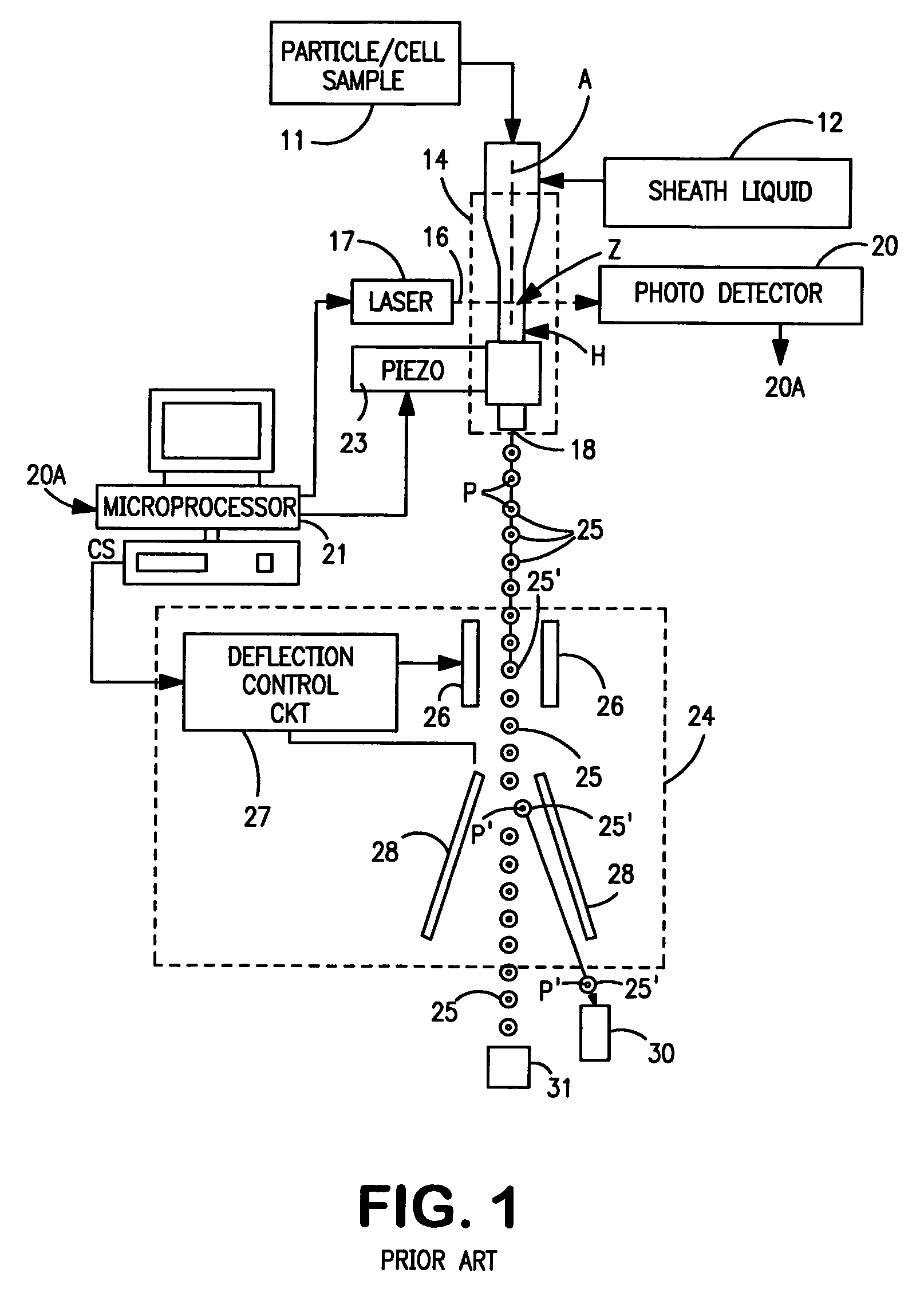 Methods and apparatus for sorting particles hydraulically