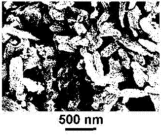 Nitrogen-doped porous carbon-loaded iron-based fluoride three-dimensional nanometer anode material for lithium ion battery and preparation method thereof