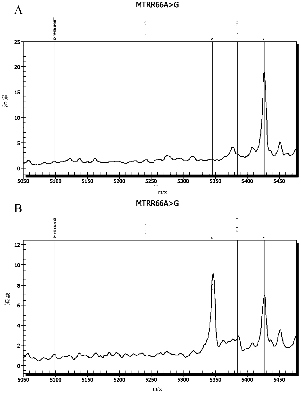 Method and kit for detecting genes related to folic acid metabolism