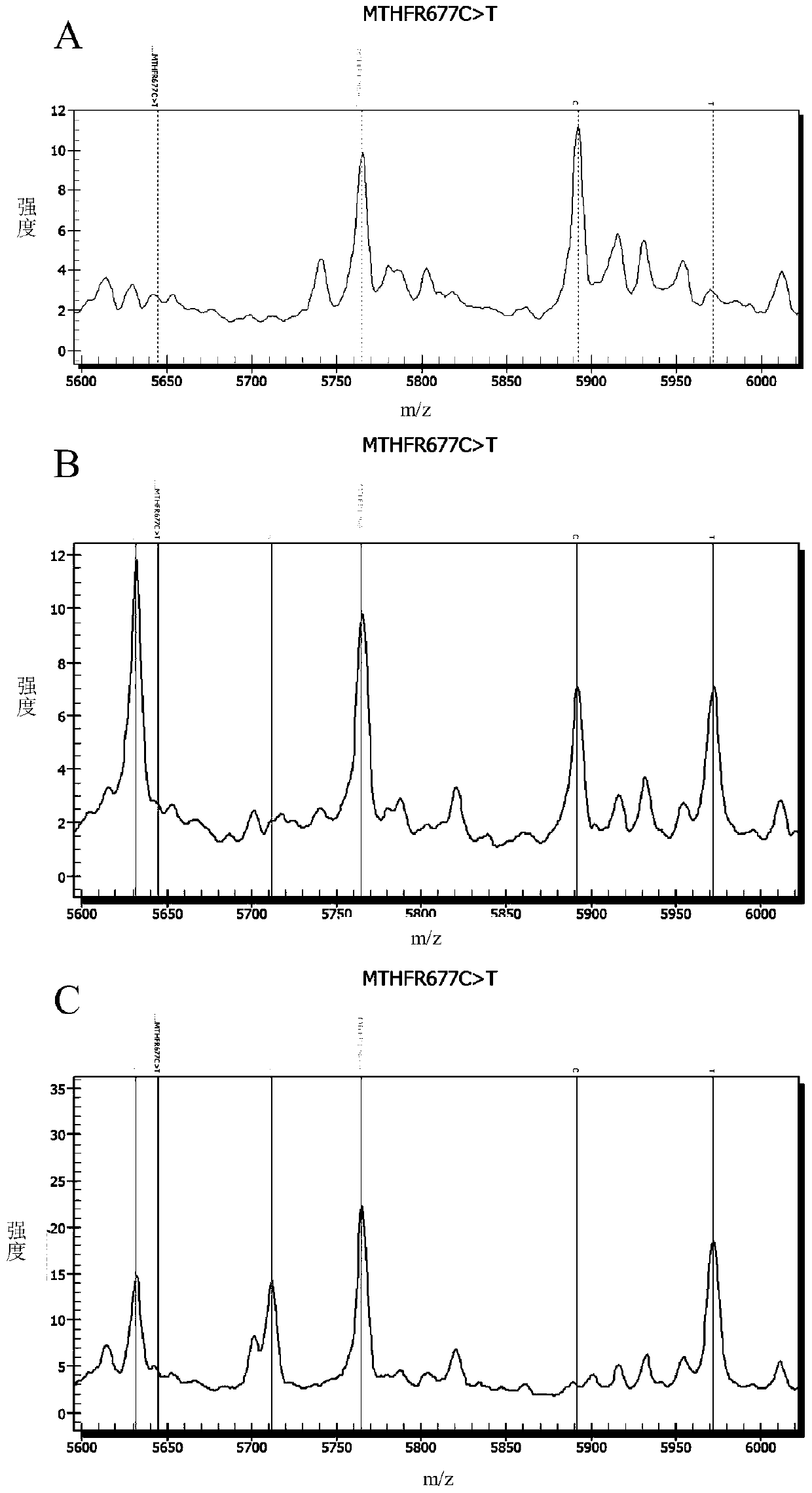 Method and kit for detecting genes related to folic acid metabolism