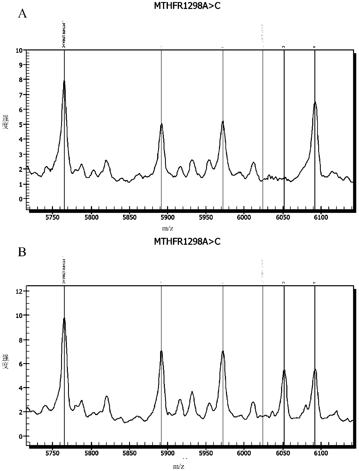 Method and kit for detecting genes related to folic acid metabolism