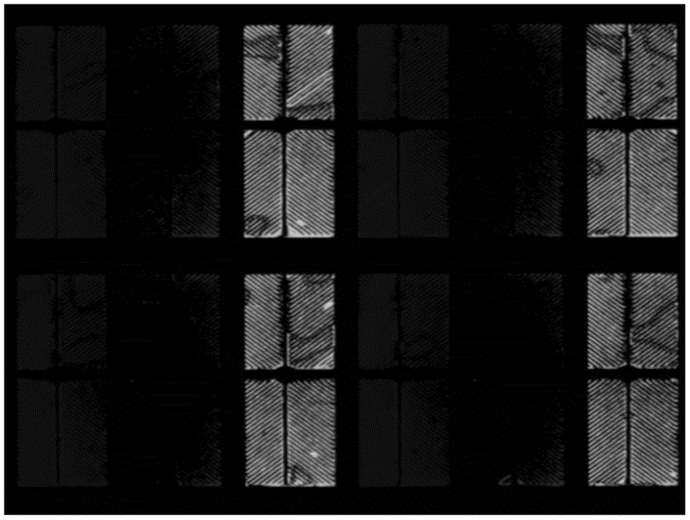 Display panel and display device