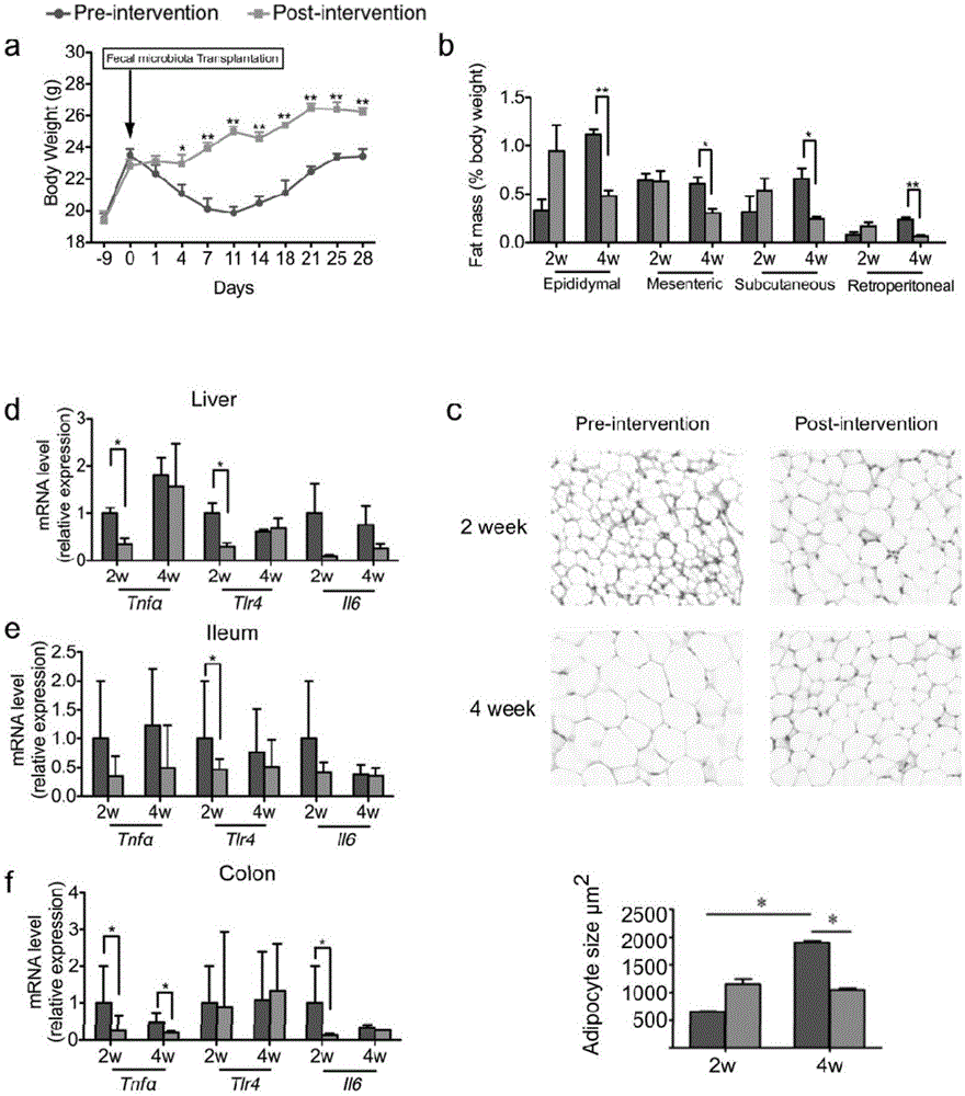 Application of composition packet in preparing food, medicines, health care products and nutrition for improving and treating human Prader-Willi syndrome