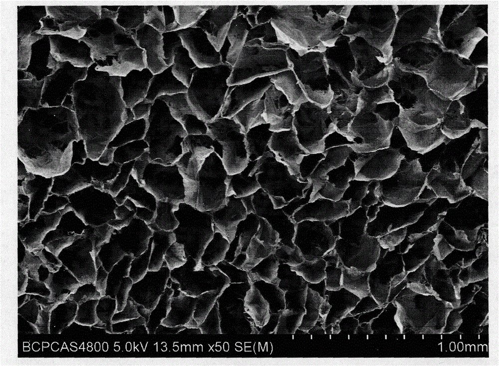 Novel application and preparation method of biological retina