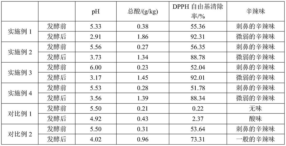 Preparation method of low-pungency antioxidant ginger essential oil byproduct beverage