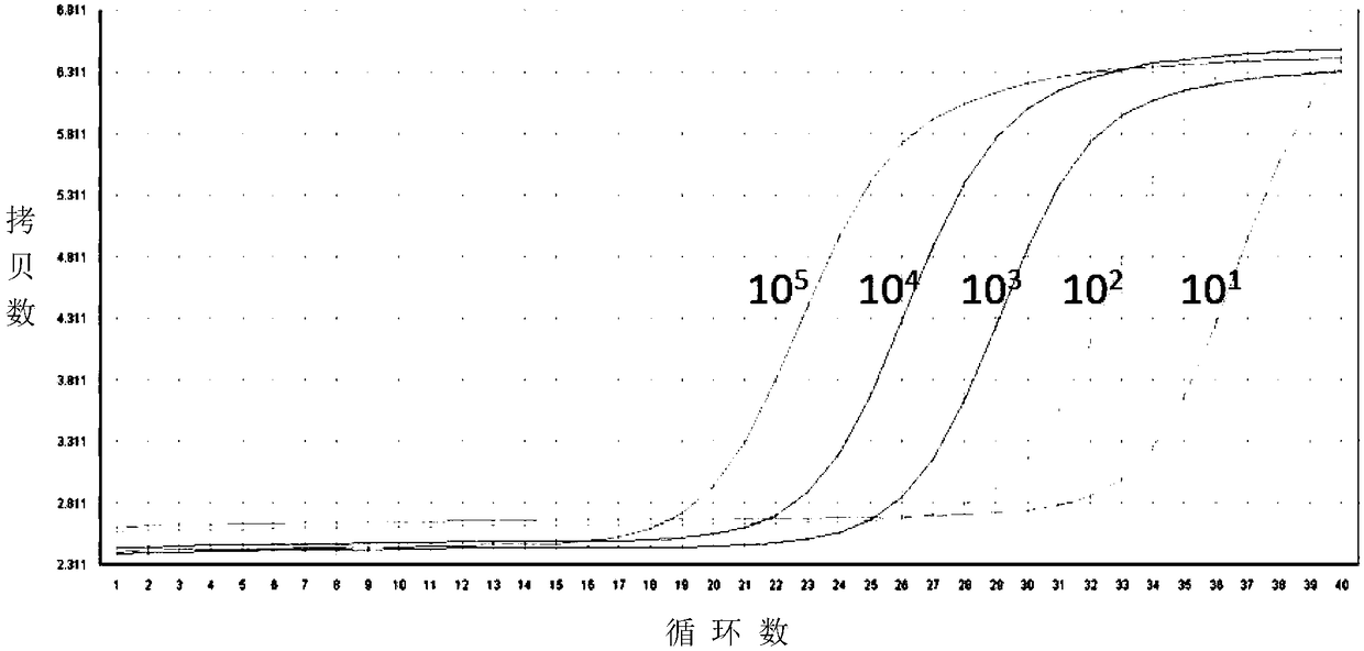 Nucleic acid amplification fluorescent quantitation method for detecting and integrating HIV-1 virus genomes and application thereof