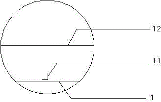 Continuous peeling method for walnut kernels