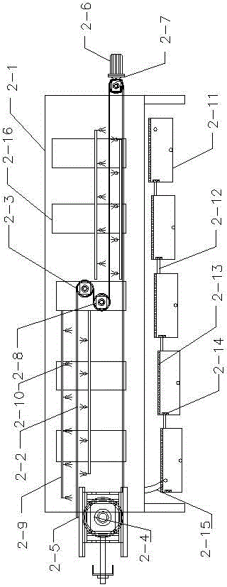 Continuous peeling method for walnut kernels