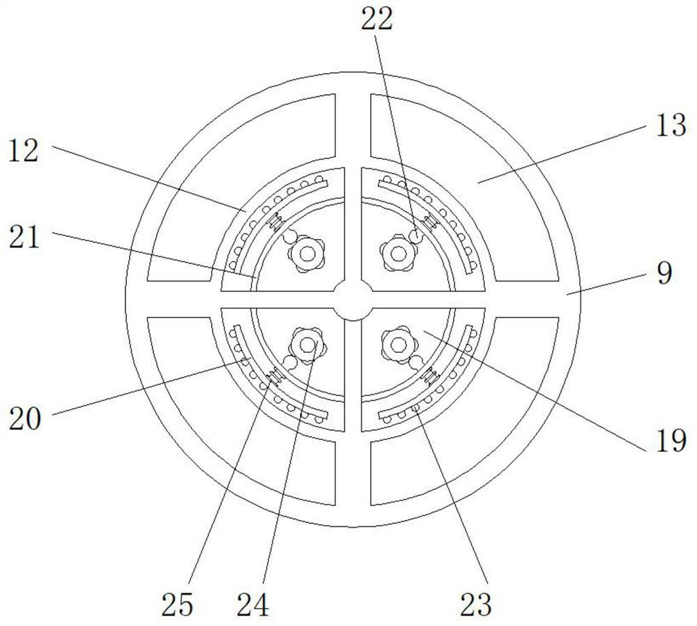 Rapid detection device for intestinal release of coated sustained-release product