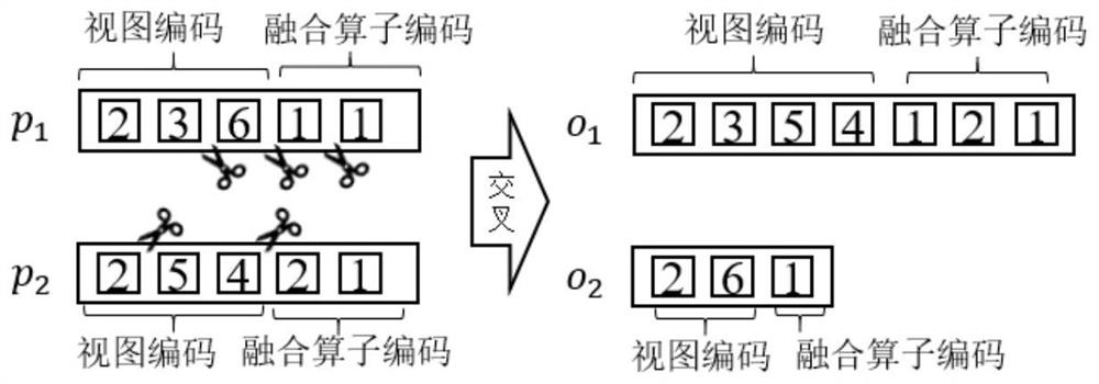 A Molecular Structure Graph Retrieval Method Based on Evolutionary Computing Multi-View Fusion