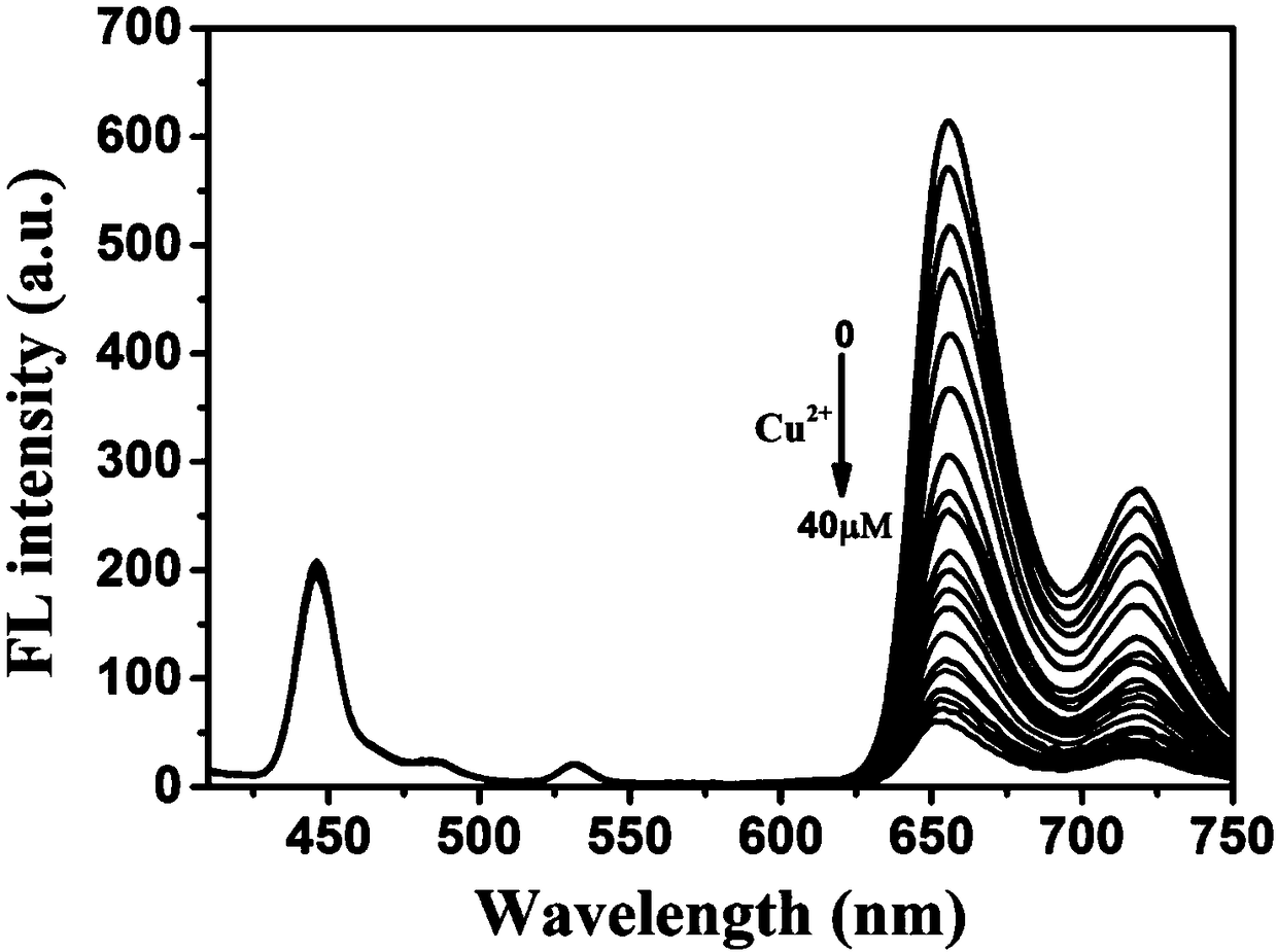 Application of metalloporphyrin framework encapsulated carbon quantum dots in detection of copper ions