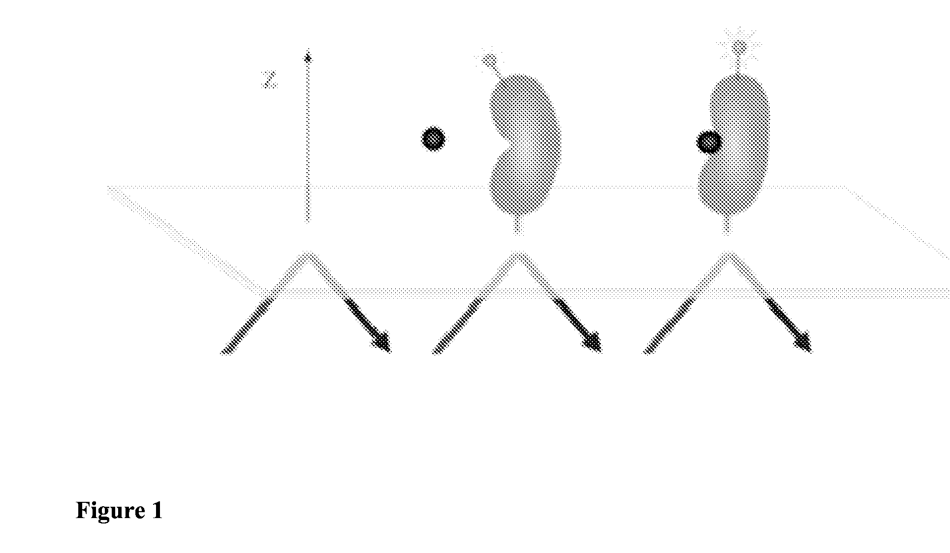 Methods for detecting allosteric modulators of protein