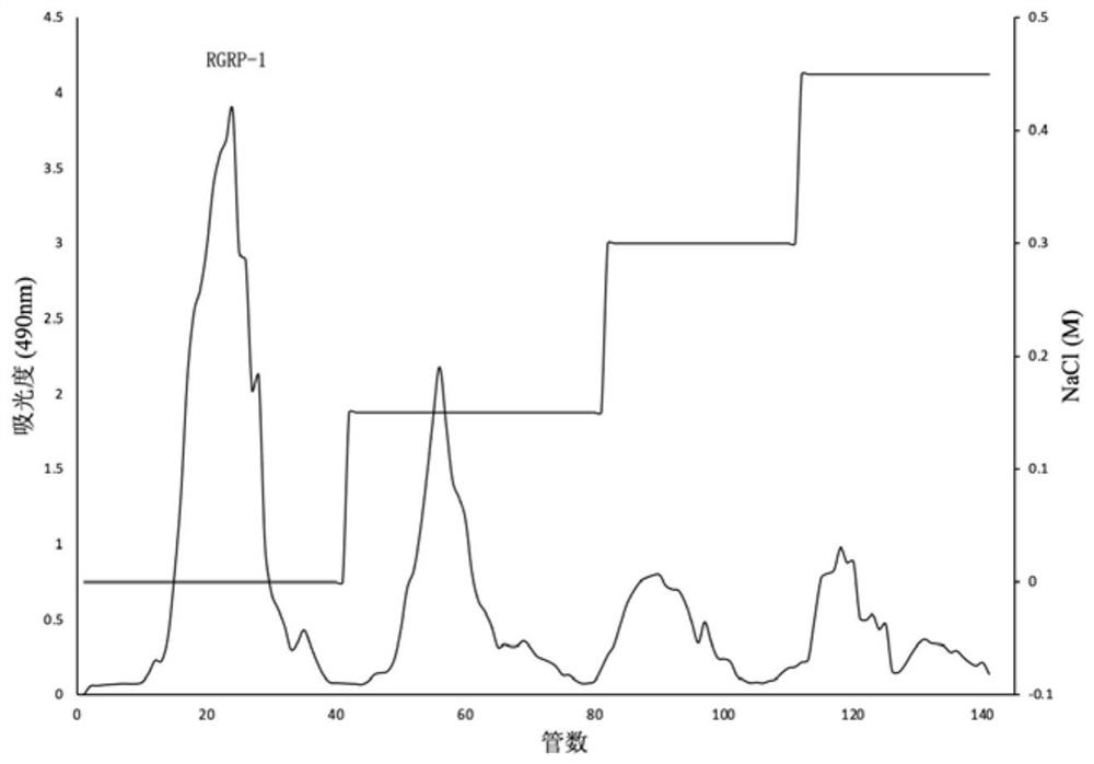 Red ginseng homogeneity polysaccharide as well as extraction method and application thereof