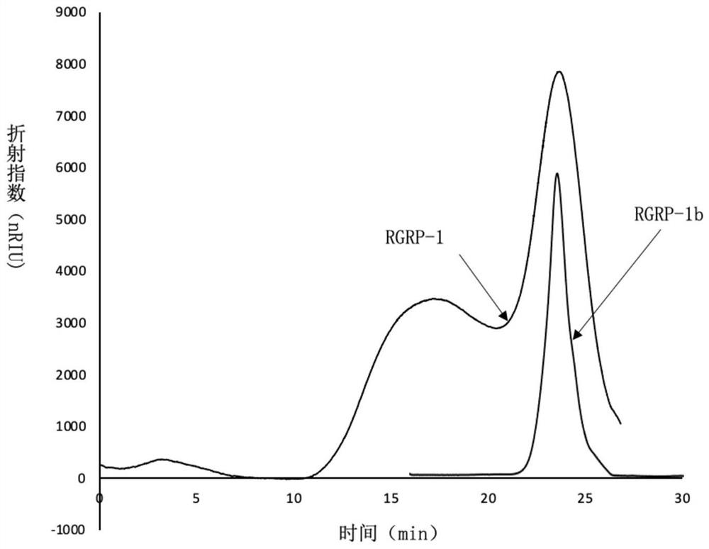 Red ginseng homogeneity polysaccharide as well as extraction method and application thereof