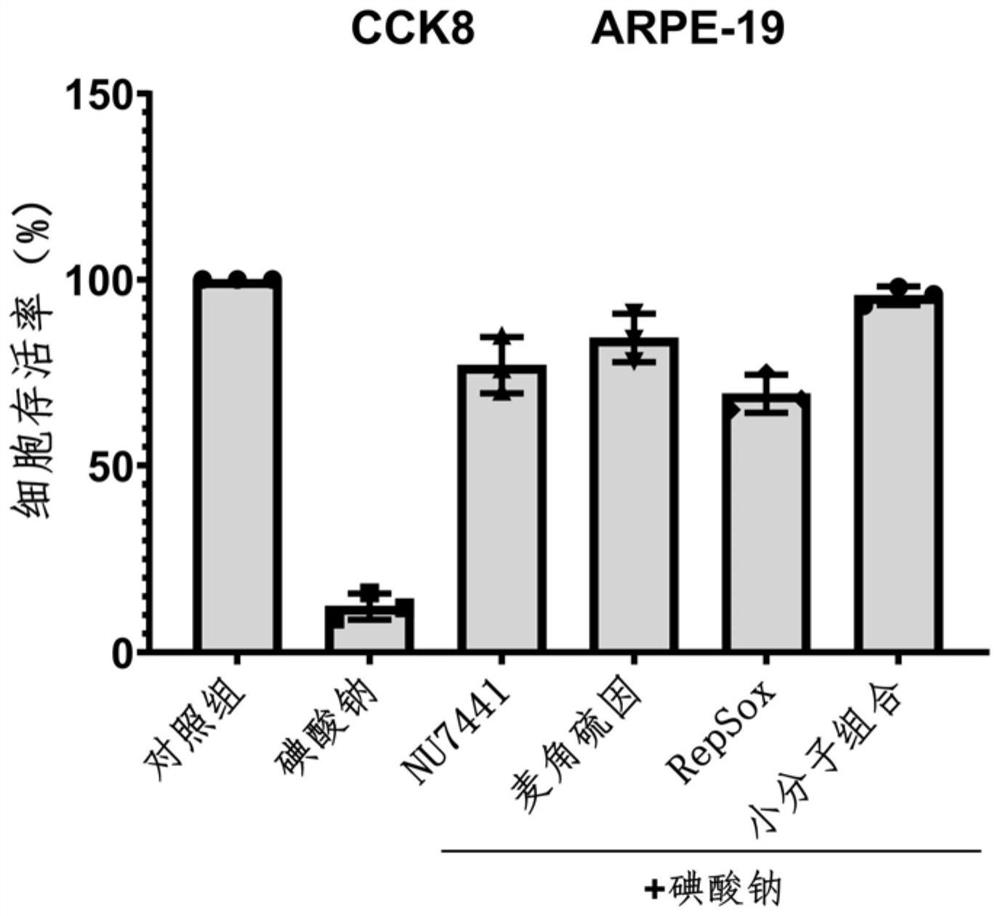 Application of small molecule compound composition in preparation of medicine for preventing and treating retinal injury diseases