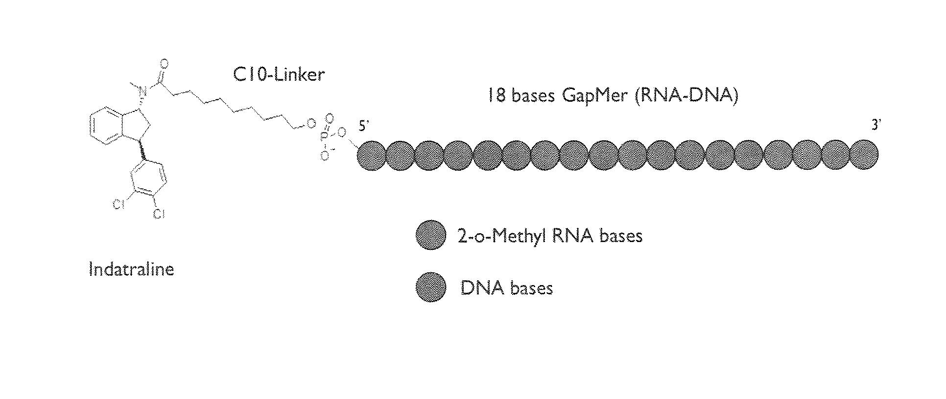 Compositions and Methods for the Treatment of Parkinson Disease by the Selective Delivery of Oligonucleotide Molecules to Specific Neuron Types