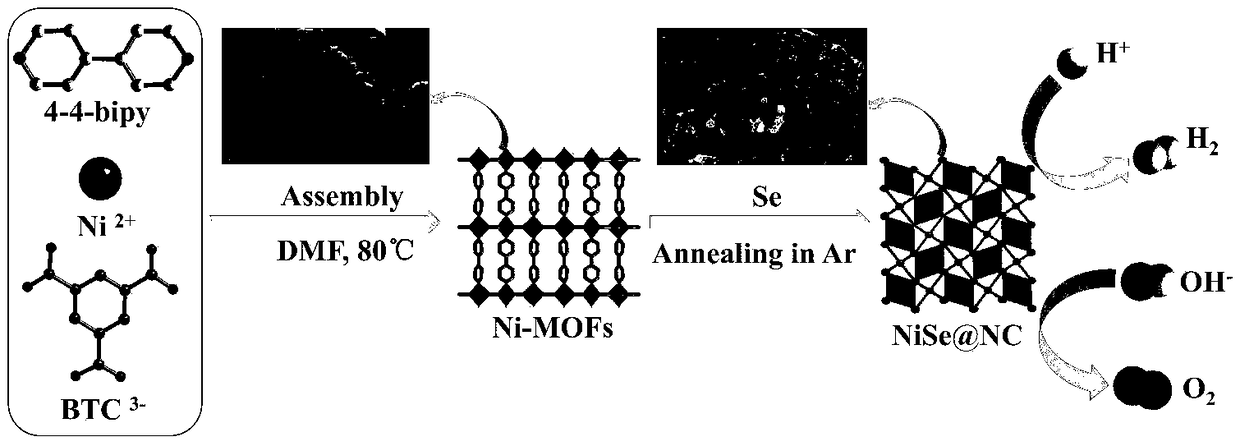 Preparation method for similarly coralloid NiSe@NC and application thereof