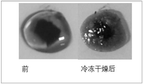 A stem cell scaffold applied to iron overload area and preparation method thereof