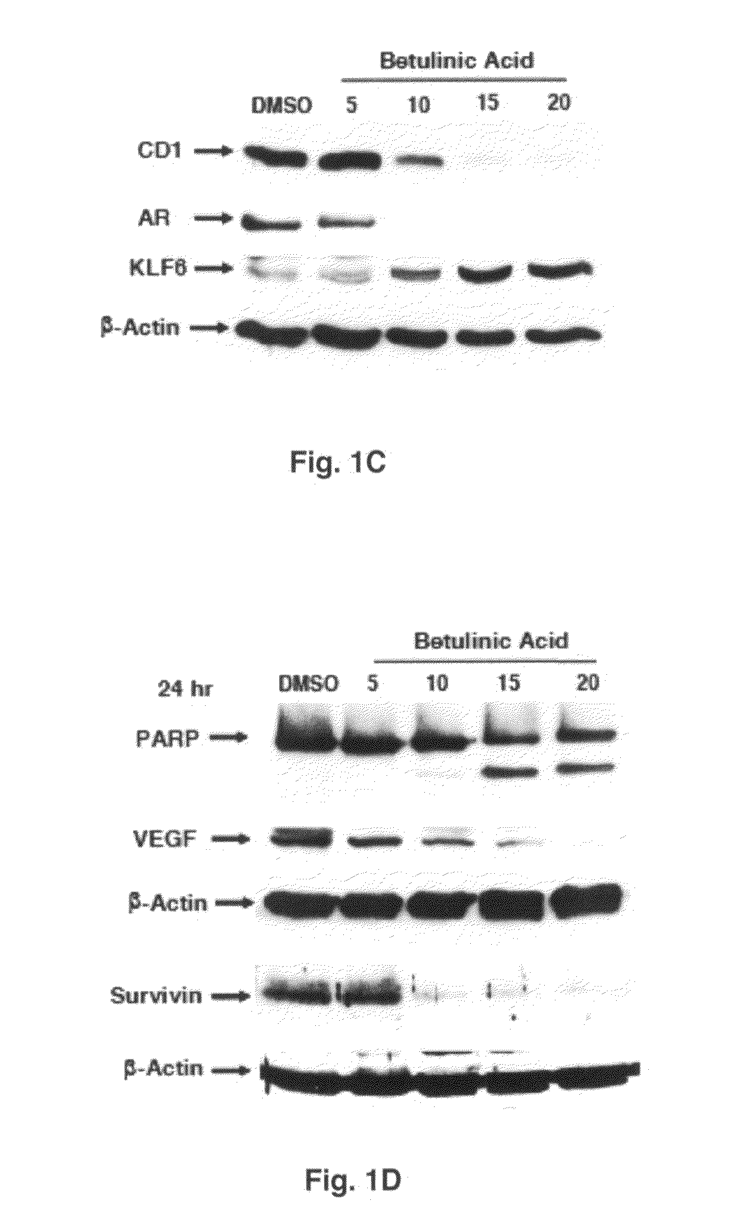 Betulinic acid, derivatives and analogs thereof and uses therefor