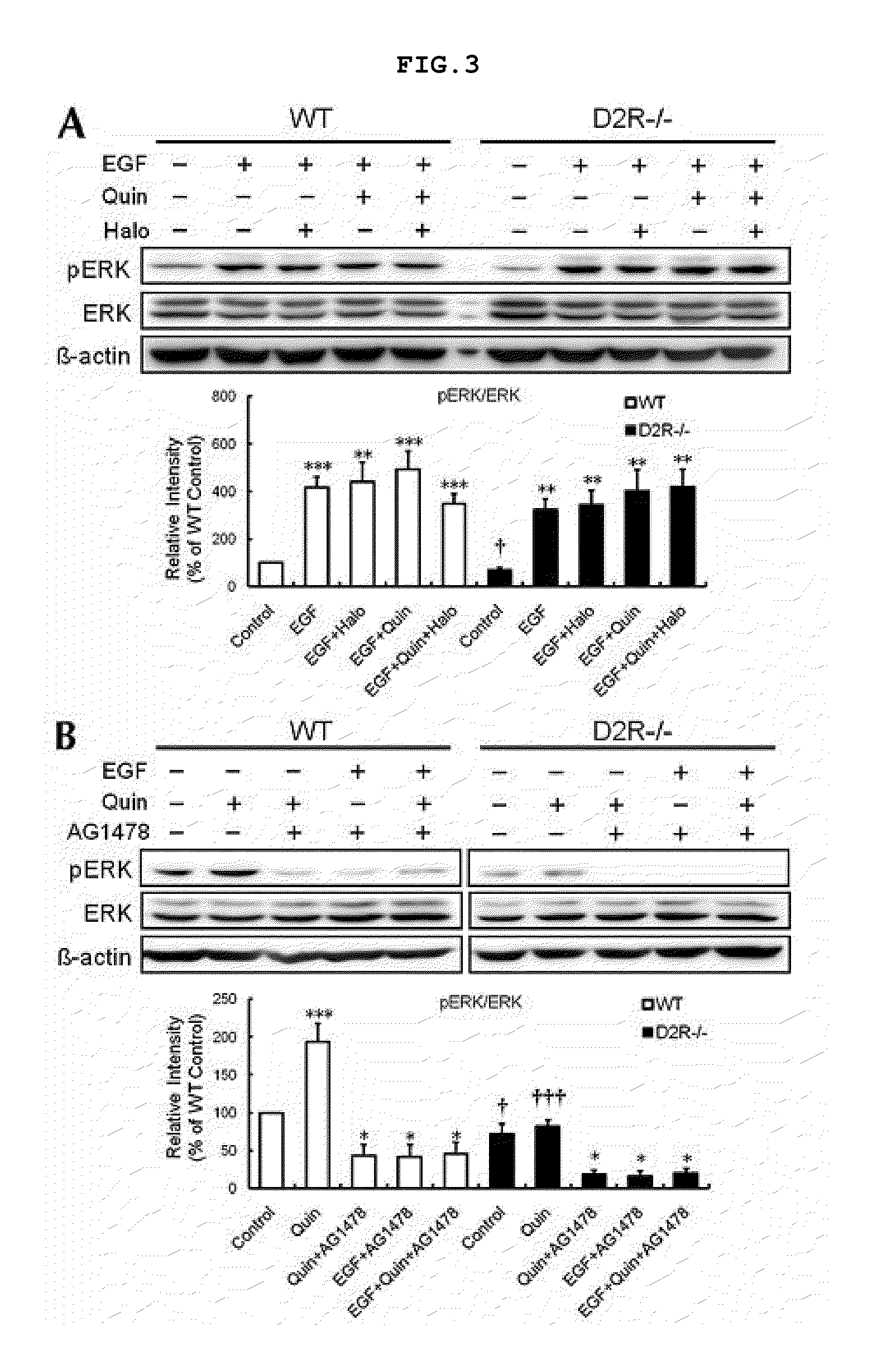 Regulation of differentiation into dopaminergic neurons by metalloprotease