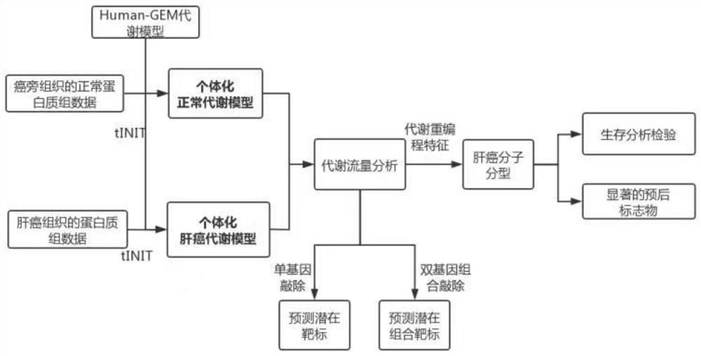 Tumor typing and potential target prediction method based on individualized metabolism model