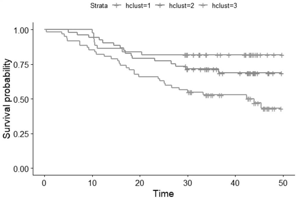 Tumor typing and potential target prediction method based on individualized metabolism model