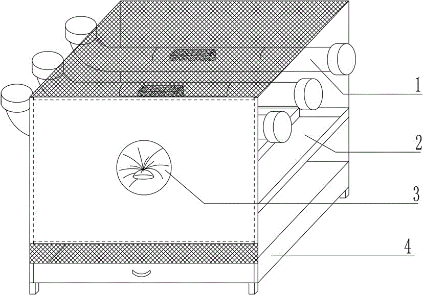 Bactrocera dorsalis multi-insect-state insect breeding box and method