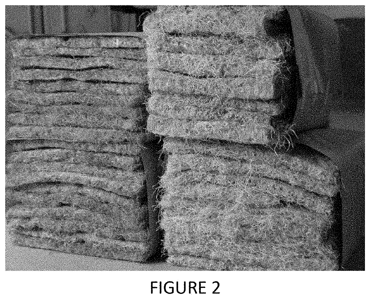 Method for obtaining root mass from vegetable seeds and root mass obtained thereof