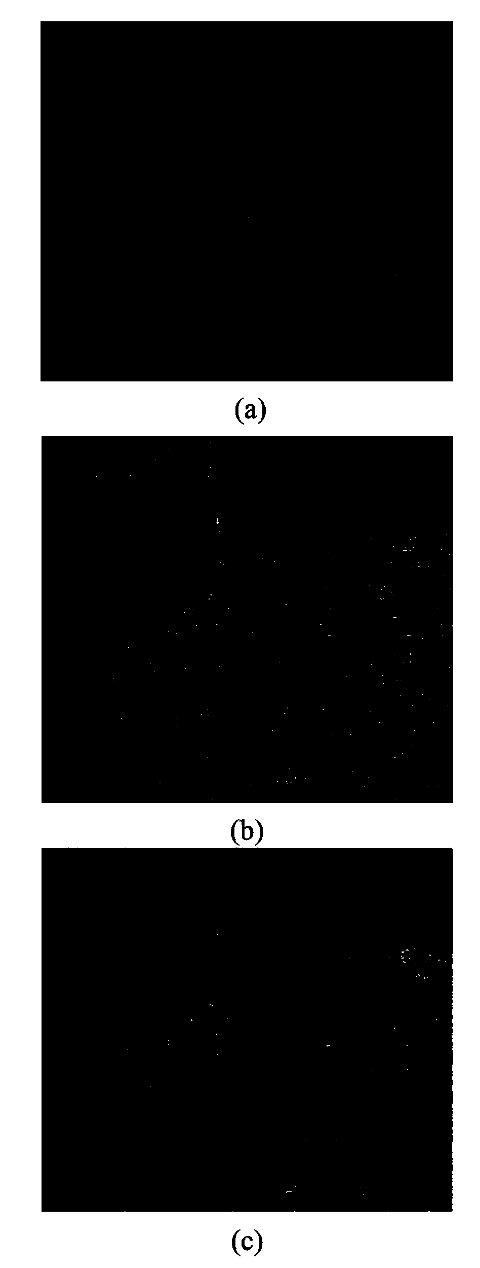 Polarization SAR (synthetic aperture radar) image classification method based on Freeman decomposition and PSO (particle swarm optimization)