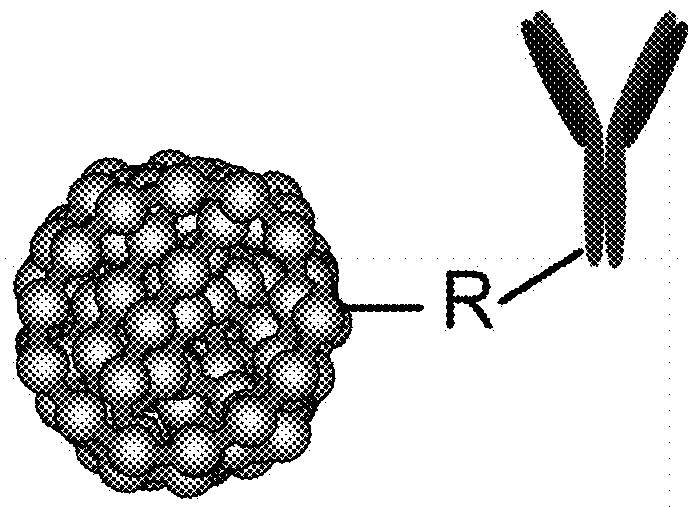 Chromophoric polymer dots