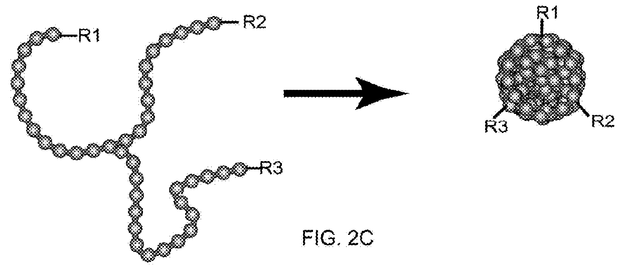 Chromophoric polymer dots