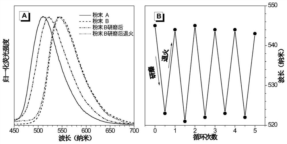 Preparation and Application of Tetraphenylpyrazine-Based Nitrile Vinyl Functionalized AIE Molecules