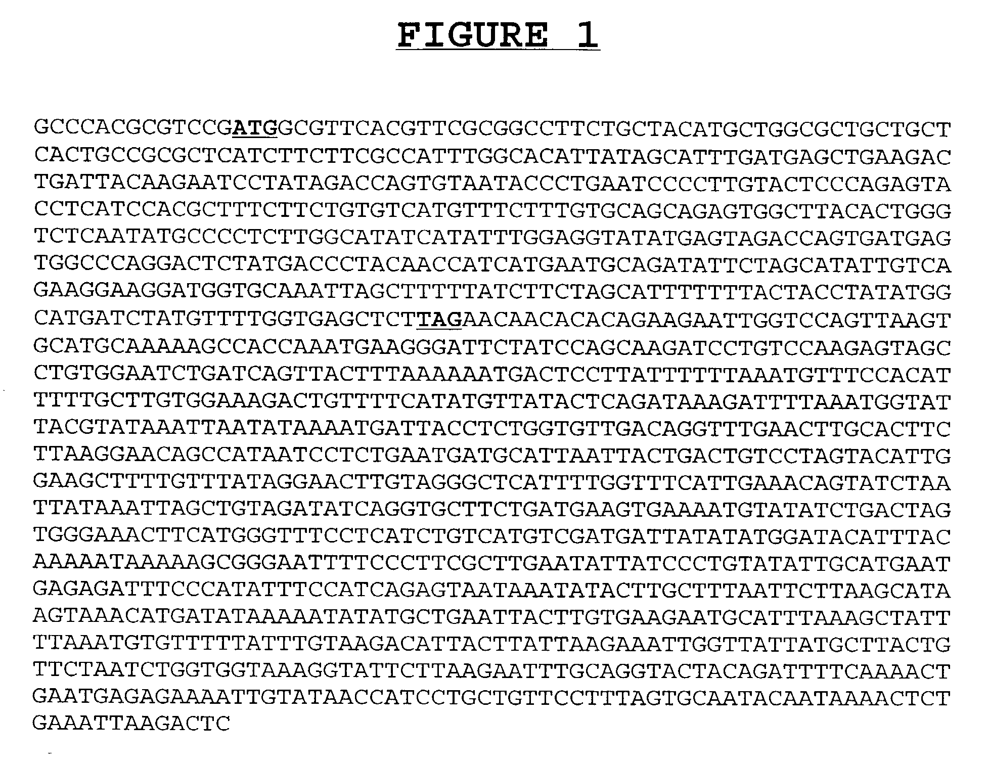 Compositions and methods for the diagnosis and treatment of disorders involving angiogenesis