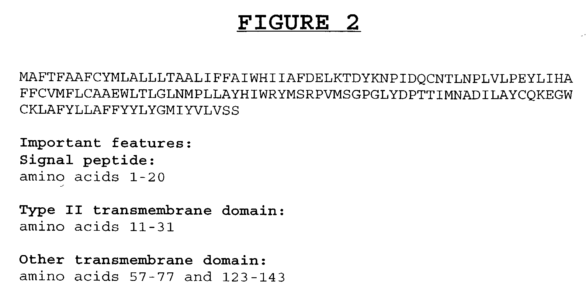 Compositions and methods for the diagnosis and treatment of disorders involving angiogenesis