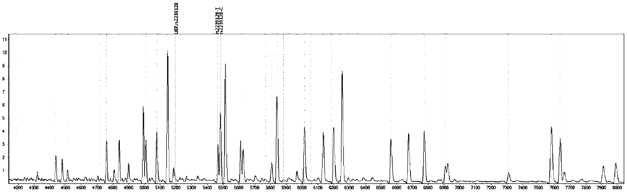 Gene detection kit for medication guidance of antihypertensive drug lacidipine