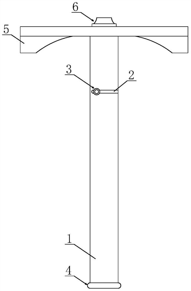 Medical orthopaedic clinical free body extractor