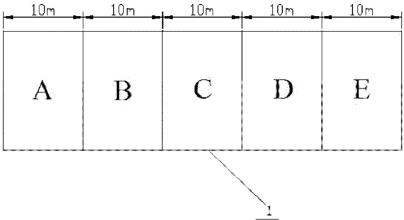 Soil and ecological control method for coastal beaches