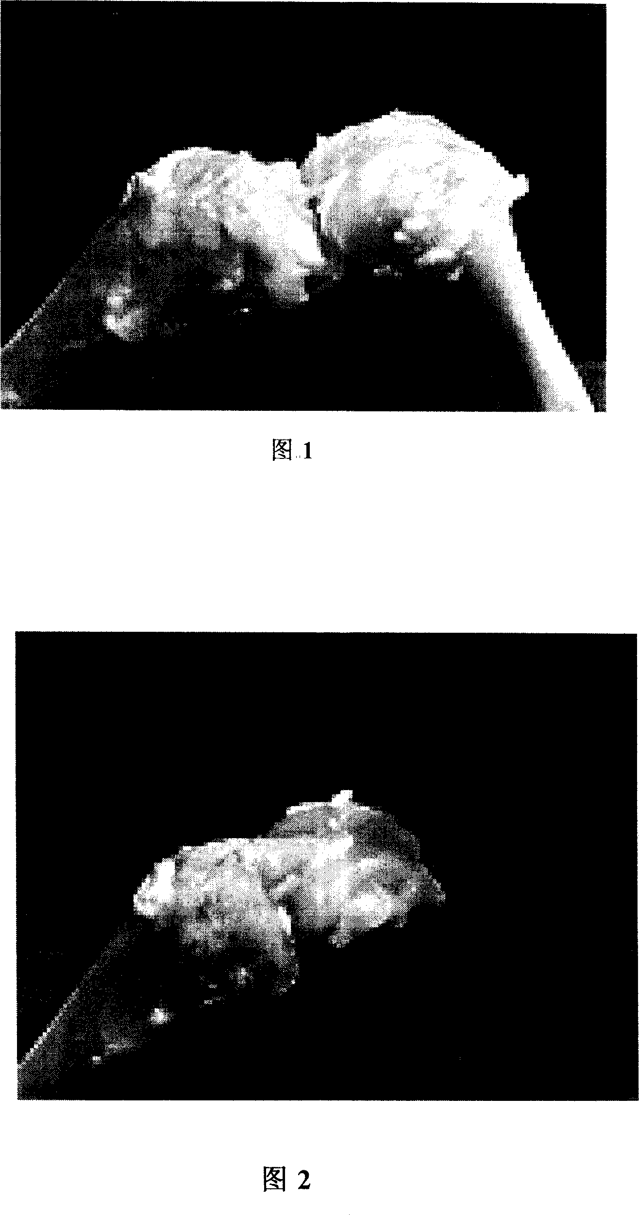 Composition for treating knee-joint cross ligament damage