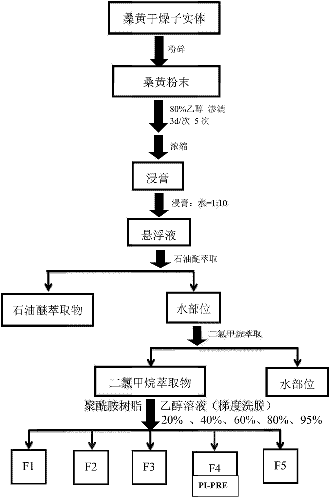 Drug composite for curing diabetes and preparation method and application thereof