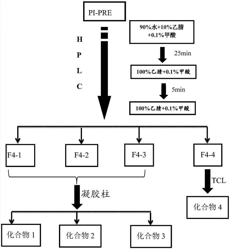 Drug composite for curing diabetes and preparation method and application thereof