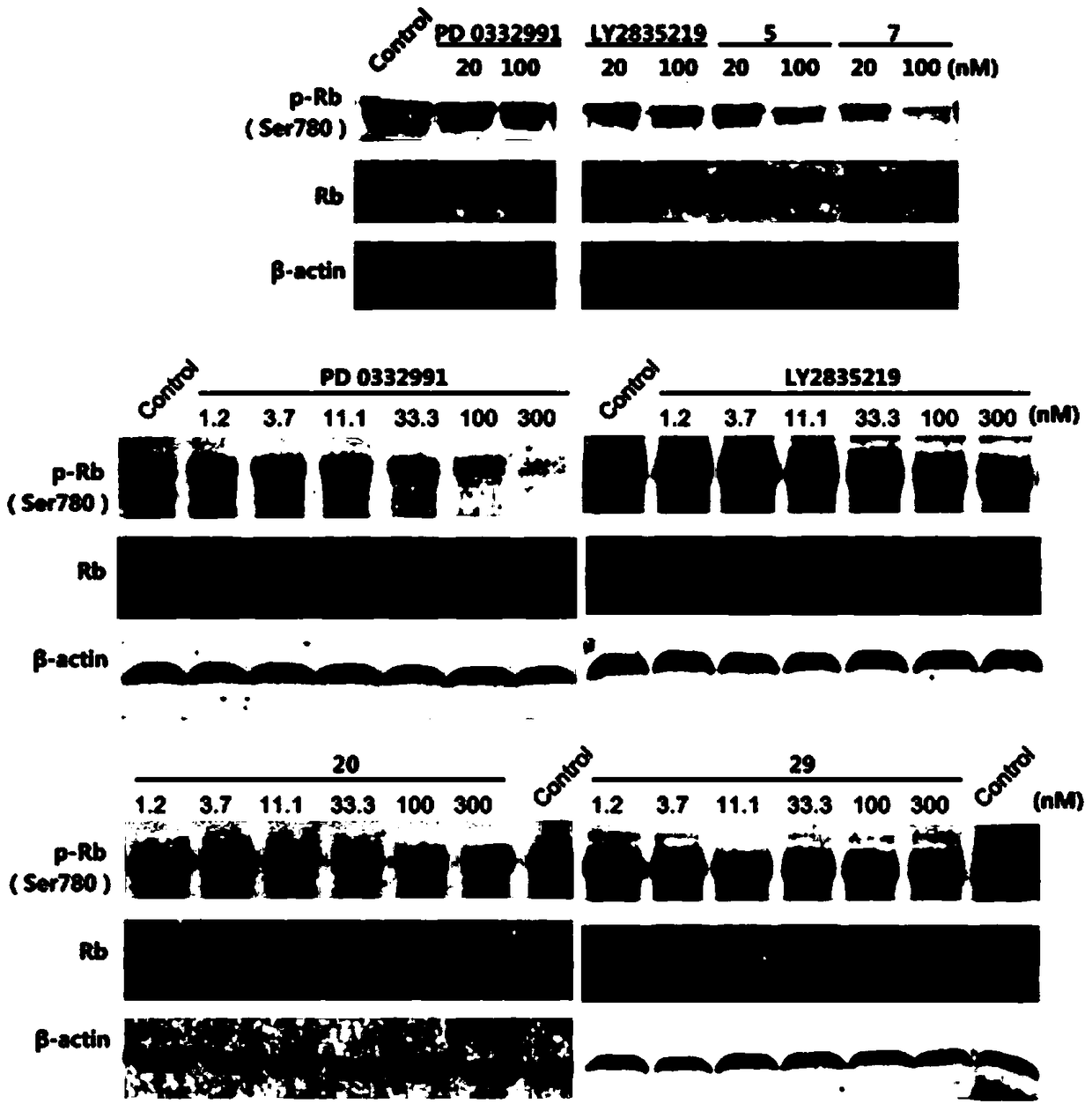 Pyridine pyrimidine amine compound or pyridine pyridine amine compound and application thereof