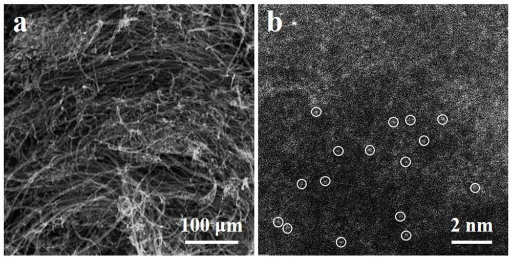 Method for rapidly growing metal single atoms on carbon-based carrier by using microwave to induce metal to discharge and application of metal monatomic carbon-based material prepared by method