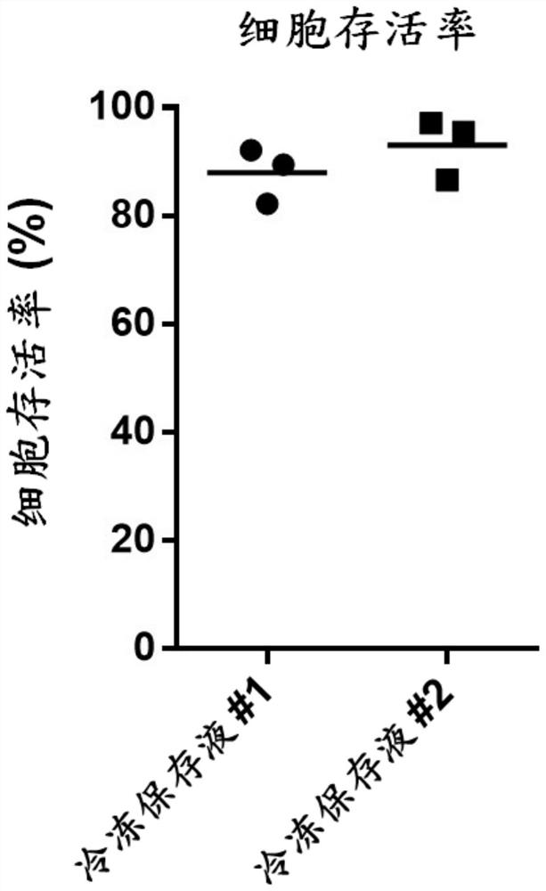 Serum-free cell cryopreservation liquid for cell cryopreservation and cryopreservation method thereof