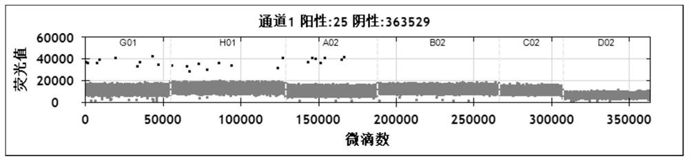 Primer probe for detecting amplification of recurrence and metastasis gene WNT2 of neuroblastoma and application of primer probe