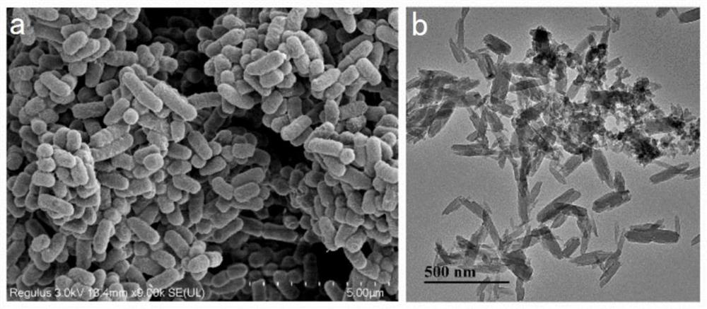 Application of functionalized three-dimensional covalent organic framework in detection of organophosphorus pesticide residues