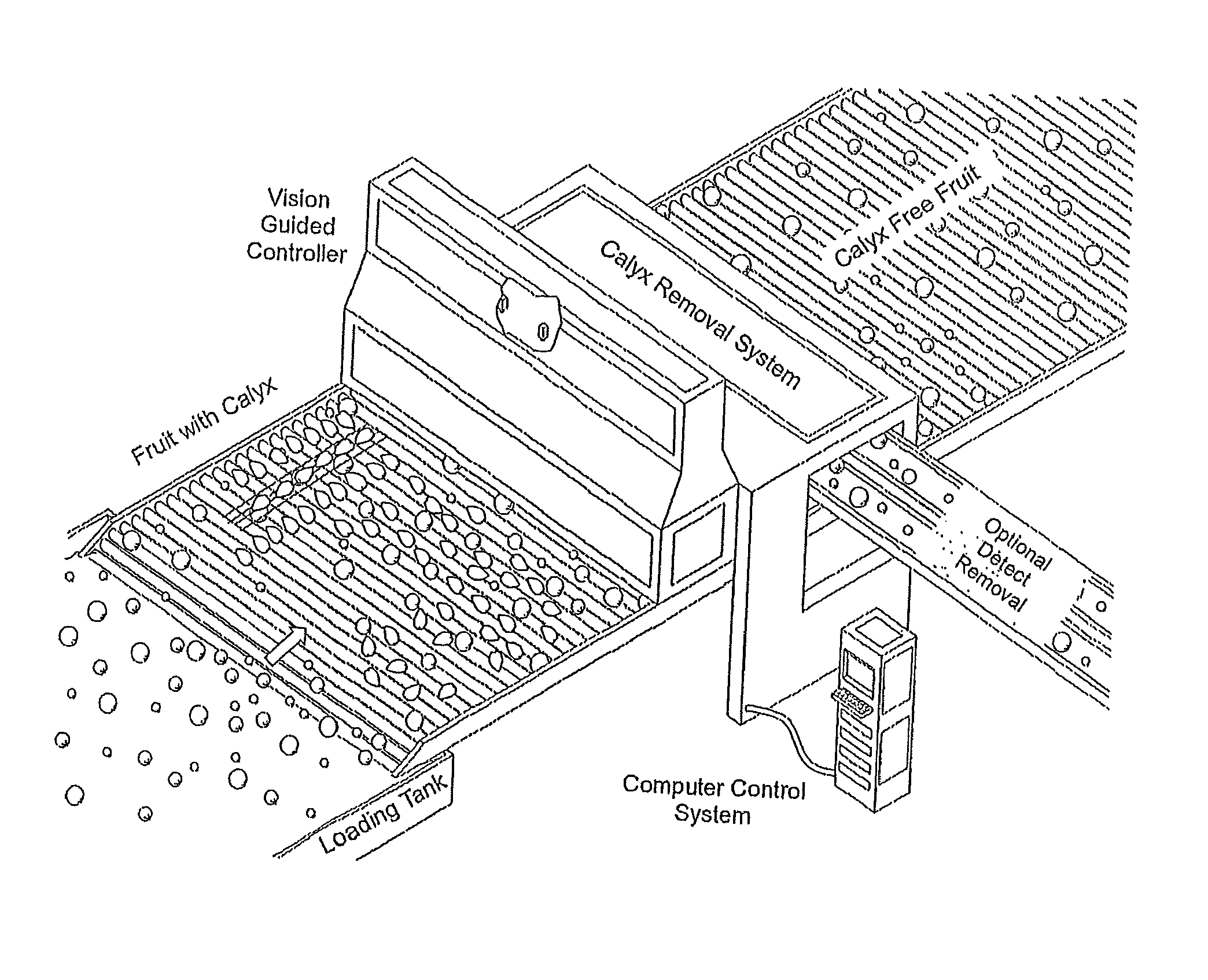 Automated fruit and vegetable calyx or stem removal machine