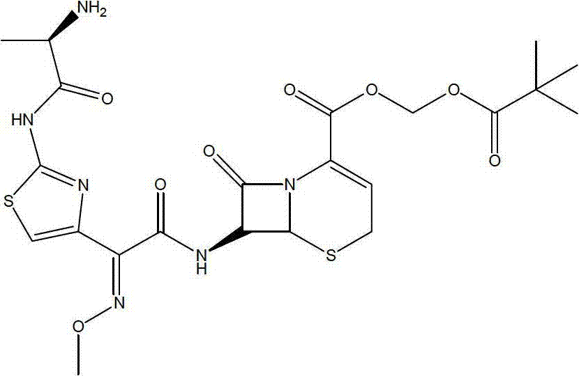 Cefditoren pivoxil liposome solid preparation