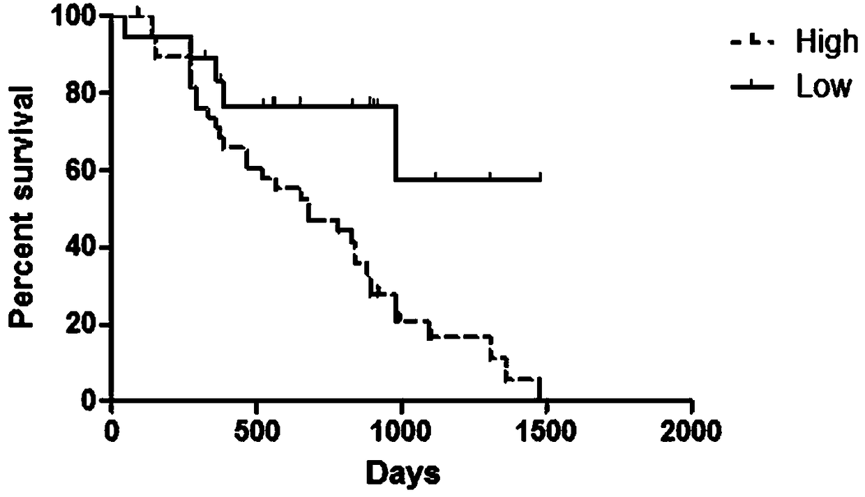 Application, kit and detection method of novel molecular marker non-coding RNA LINC00671 for prognosis of kidney cancer