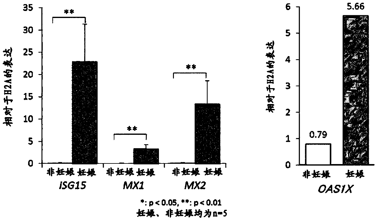 Method for diagnosing pregnancy in ruminant