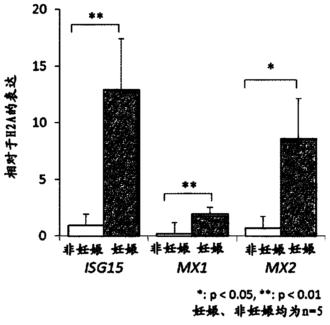 Method for diagnosing pregnancy in ruminant